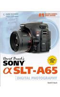 David Busch's Sony Alpha SLT-A65 Guide to Digital Photography