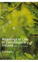 Meanings of Life in Contemporary Ireland