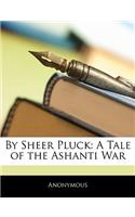 By Sheer Pluck: A Tale of the Ashanti War