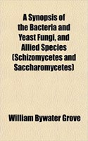 A Synopsis of the Bacteria and Yeast Fungi, and Allied Species (Schizomycetes and Saccharomycetes)