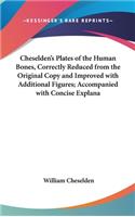Cheselden's Plates of the Human Bones, Correctly Reduced from the Original Copy and Improved with Additional Figures; Accompanied with Concise Explana: (English)