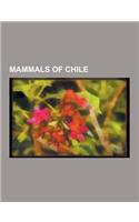 Mammals of Chile: Llama, Cougar, Pudu, Dusky Dolphin, Degu, List of Mammals of Chile, Southern Elephant Seal, Alpaca, Coypu, Leopard Sea