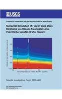 Numerical Simulation of Flow in Deep Open Boreholes in a Coastal Freshwater Lens, Pearl Harbor Aquifer, Oahu, Hawai'i