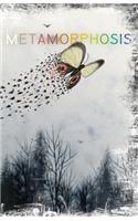 METAMORPHOSiS