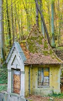 Abandoned Water House in the Forest Journal
