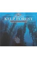 Life of the Kelp Forest