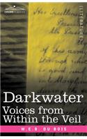 Darkwater: Voices from Within the Veil