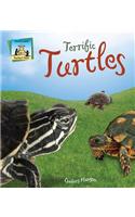 Terrific Turtles