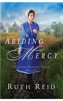 Abiding Mercy: (1 An Amish Mercies)