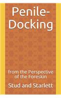 Penile-Docking: From the Perspective of the Foreskin(2 Flushtome)