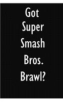 Got Super Smash Bros. Brawl?: Super Smash Bros. Brawl Diary Journal