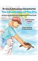 Adventures of Tua Pru