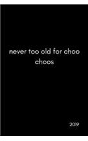 Never Too Old for Choo Choos 2019
