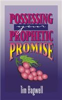 Possessing Your Prophetic Promise