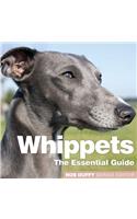 Whippets