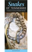 Snakes of Tennessee