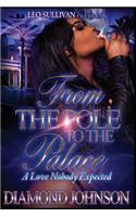 From the Pole to the Palace: A Love Nobody Expected(1 From the Pole to the Palace)