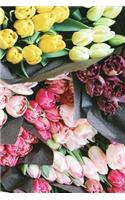 Rainbow Tulip Bouquets Notebook: 150 page lined 6 x 9 notebook/diary/journal