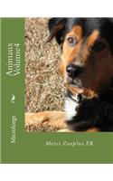 Animaux Volume4