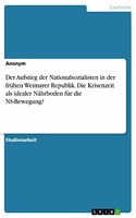 Aufstieg der Nationalsozialisten in der frühen Weimarer Republik. Die Krisenzeit als idealer Nährboden für die NS-Bewegung?