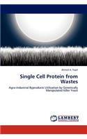 Single Cell Protein from Wastes