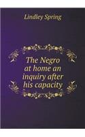 The Negro at Home an Inquiry After His Capacity