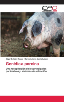 Genética porcina