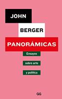 Panoramicas: Ensayos sobre arte y politica