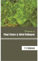 Diagnosis of Plant Viruses and Allied Pathogens
