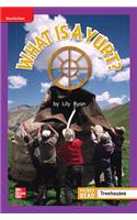 Reading Wonders Leveled Reader What Is a Yurt?: Ell Unit 5 Week 5 Grade 1