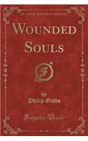 Wounded Souls (Classic Reprint)