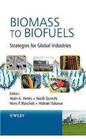 Biomass to Biofuels