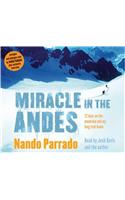 Miracle In The Andes