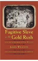 Fugitive Slave in the Gold Rush