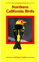 An Introduction to Northern California Birds