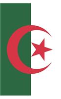 Algeria Travel Journal - Algeria Flag Notebook - Algerian Flag Book