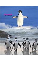 Penguin Sketch Book