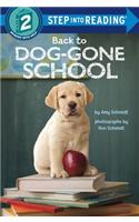 Back to Dog-Gone School