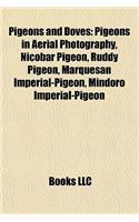 Pigeons and Doves: Pigeons in Aerial Photography, Nicobar Pigeon, Ruddy Pigeon, Marquesan Imperial-Pigeon, Mindoro Imperial-Pigeon(English)