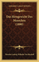 Hirngewicht Des Menschen (1880)