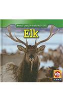 Elk