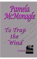 To Trap The Wind
