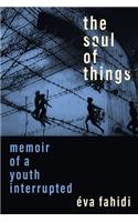 Soul of Things: Memoir of a Youth Interrupted