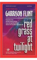Red Grass at Twilight