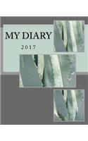 My Diary