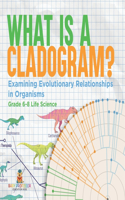 What is a Cladogram? Examining Evolutionary Relationships in Organisms Grade 6-8 Life Science