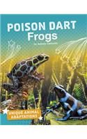 Poison Dart Frogs