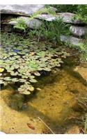 Pond Design and Construction Notebook