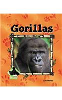 Gorillas
