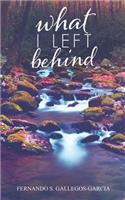 What I Left Behind